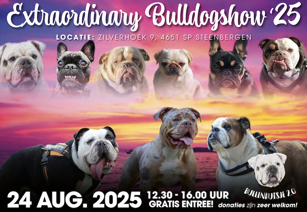 Extraordinary Bulldog Show